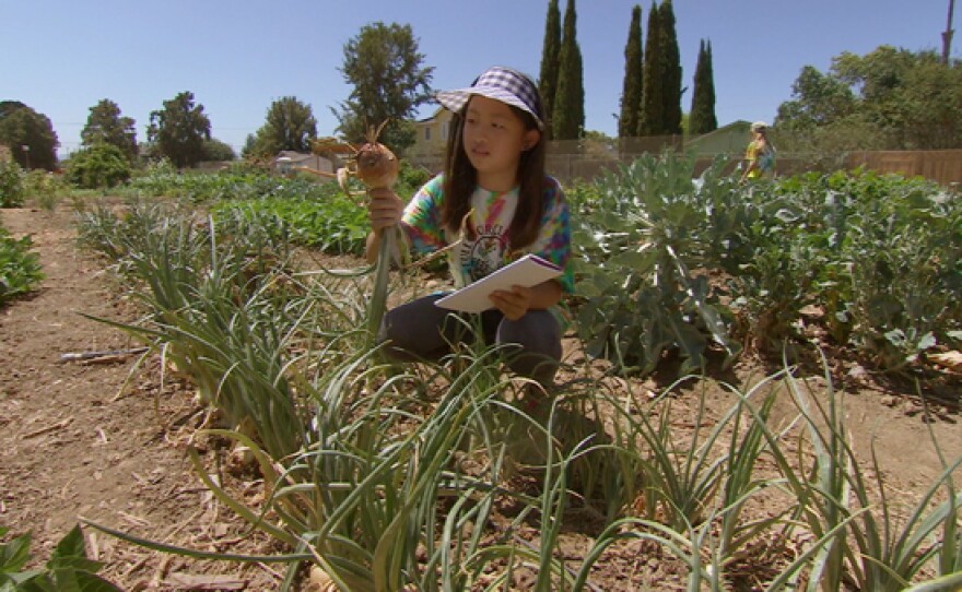 A camper at Full Circle Farm in Sunnyvale, Calif.