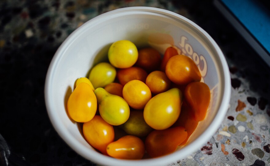 A neighbor delivered yellow cherry tomatoes from his garden to Lori Guadagno. She saw it as a sign from her brother since his home in California was filled with tomato vines.