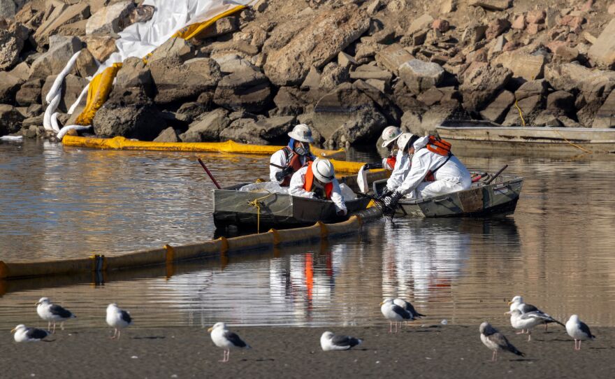 Workers in boats try to clean up floating oil near gulls in the Talbert Marshlands as a 3,000-barrel oil spill, about 126,000 gallons, from an offshore oil rig reaches the shore and sensitive wildlife habitats in Newport Beach, Calif. on Oct. 3, 2021.