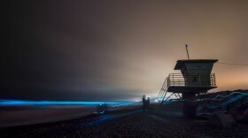 Bioluminescence from a red tide lights the waves blue in San Diego in this undated photo. 