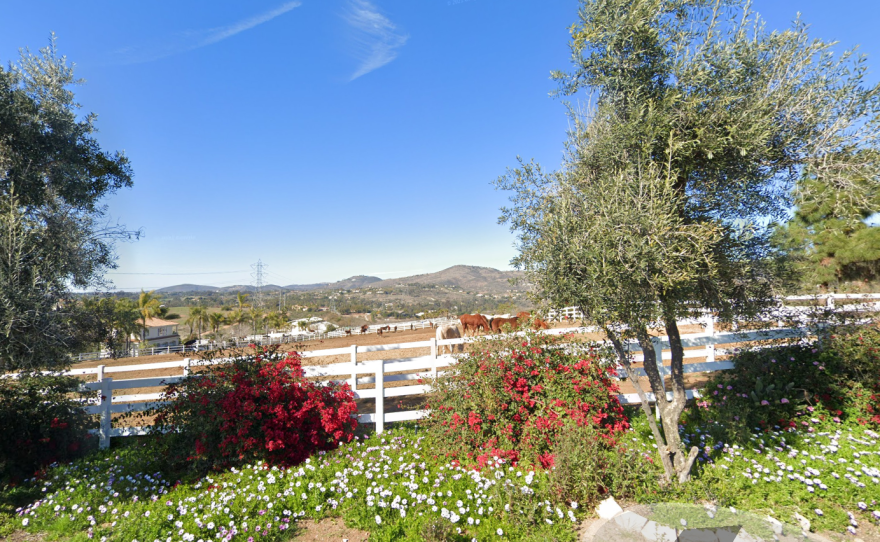 Horses seen from the street of a ranch near Rancho Santa Fe accused of neglect, Feburary 2023.