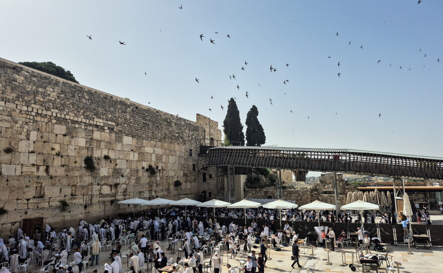 Swifts have been nesting in the Western Wall for centuries. Experts count at least 88 nests in the nooks and crannies of this holy site. The birds swoop and dive above the worshipers, catching insects to feed their young or encouraging their nestlings to take flight.