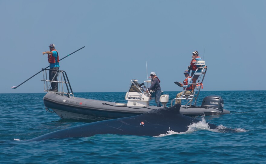 Research boat in the ocean. THE FUTURE OF NATURE "Oceans"