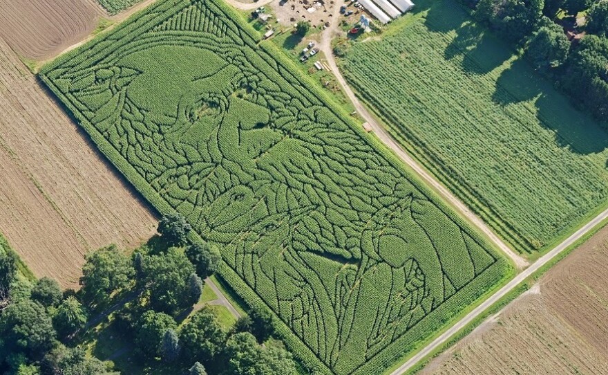 Charles Darwin and his evolutionary finches were the theme of Mike's Maze in 2009.