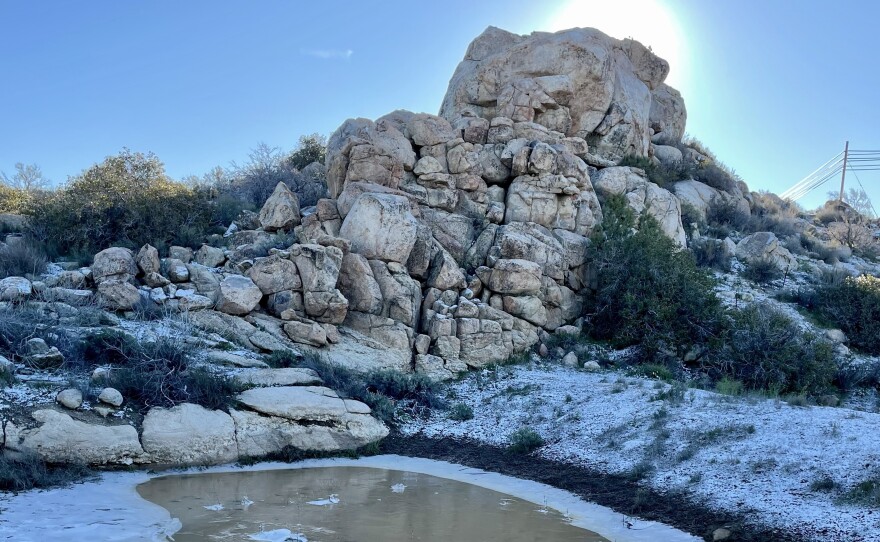 Snow in Jacumba, Calif. March 1, 2023.
