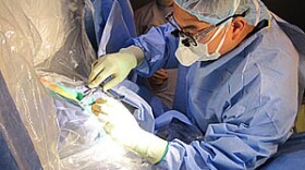 Dr. Chen delivering gene therapy using a special technique to potentially treat brain tumors.  

