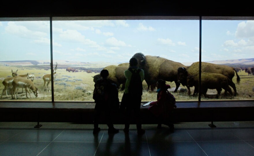 Visitors to the American Museum of Natural History look at a diorama for which Scherer painted the background decades prior.