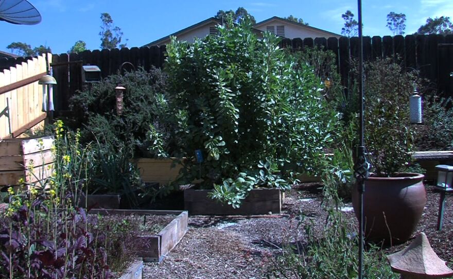The backyard of Mira Mesa resident Steve Glass