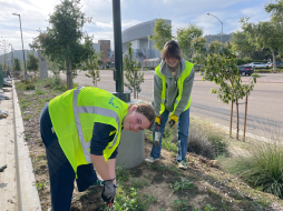 Grant Park Community Stewards