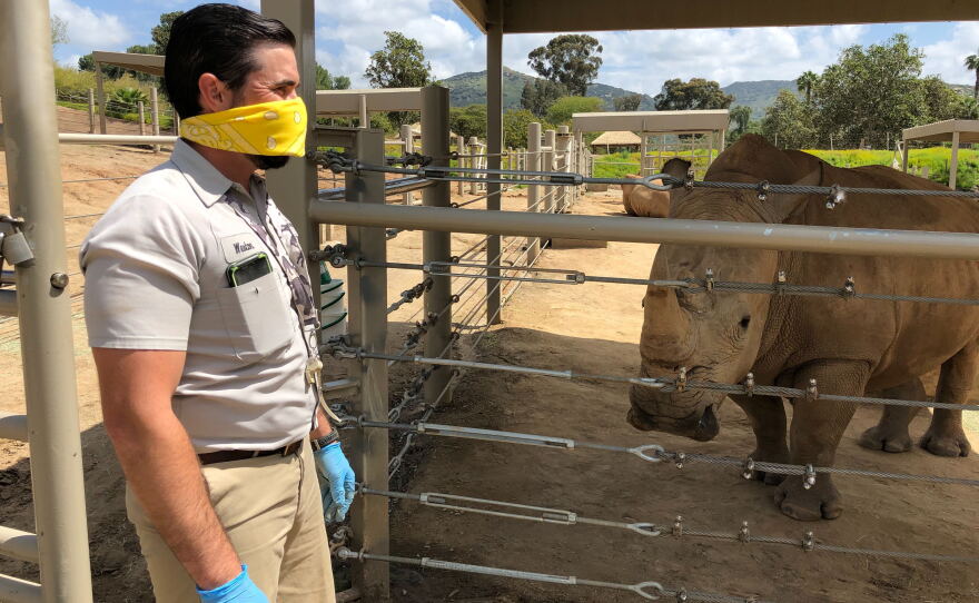 San Diego Zoo Copes During The Coronavirus Pandemic Kpbs Public Media