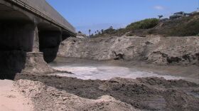 Sand clogs the pilings under the Highway 101 bridge which spans the San Elijo Lagoon, on June 4, 2015.  