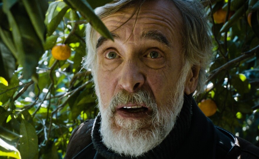 Ivo (Lembit Ulfsak) is a pacifist. But NPR film critic Bob Mondello says Tangerines is an "object lesson in the resilience of ancient animosities."