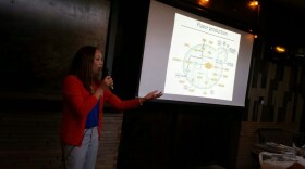 Neva Parker, head of laboratory operations at White Labs Pure Yeast and Fermentation in San Diego, talking about the science of beer at a Pint of Science event held in San Diego, May 18, 2015.