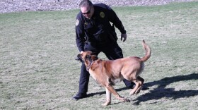 Officer Mike McLeod and Monty go through some exercises to show that Monty has recovered after being shot, January 20, 2011. 