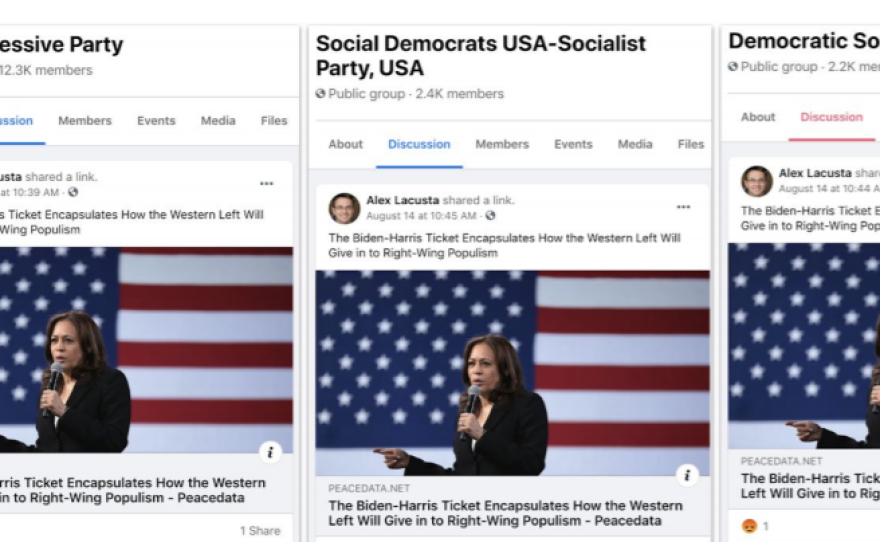 Examples of fake news stories shared on Facebook by a site posing as a news source, PeaceData, which the research firm Graphika says was part of a Kremlin-backed operation to steer voters away from the Biden-Harris campaign.