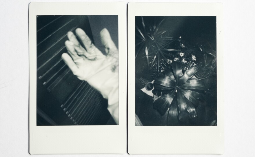 (Left) During the coronavirus pandemic, cleaning has become more intense and important. Gloves used for cleaning photographer Celeste Alonso's house in Buenos Aires, Argentina. (Right) Plants on Alonso's balcony.