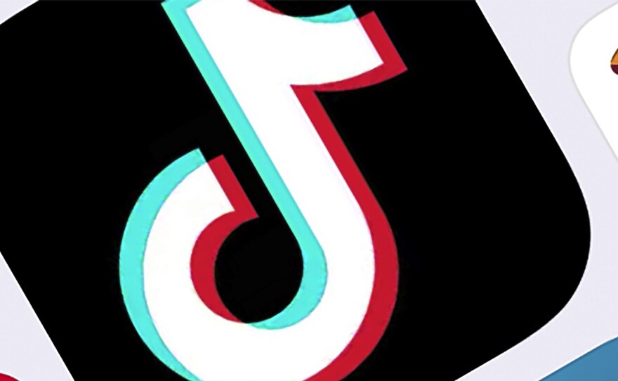 TikTok has filed a federal lawsuit against the Trump administration after the White House issued an executive order that would effectively ban the hugely popular app from operating in the U.S.