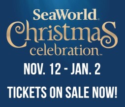 SeaWorld Christmas.jpg