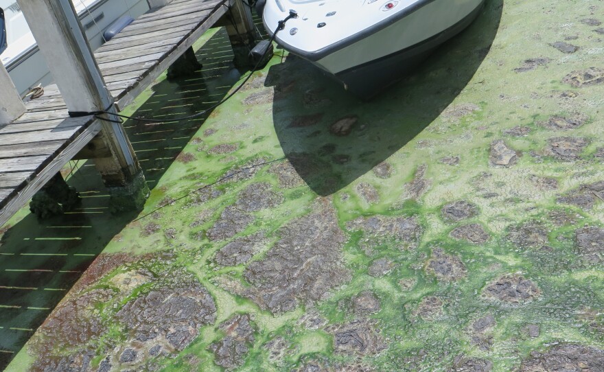"It stains the boats, it smells horrible and it's toxic," says the boat salesman John Skinner.