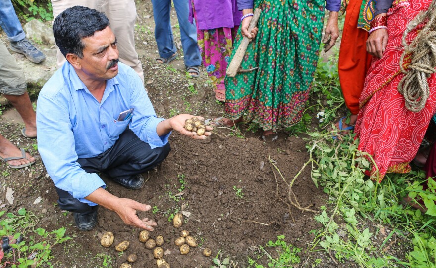 Bachi Singh, a field supervisor for TERI,<strong> </strong>demonstrates best practices for planting in a village in Uttarakhand. He says this village could someday grow fruit trees — excellent cash crops.