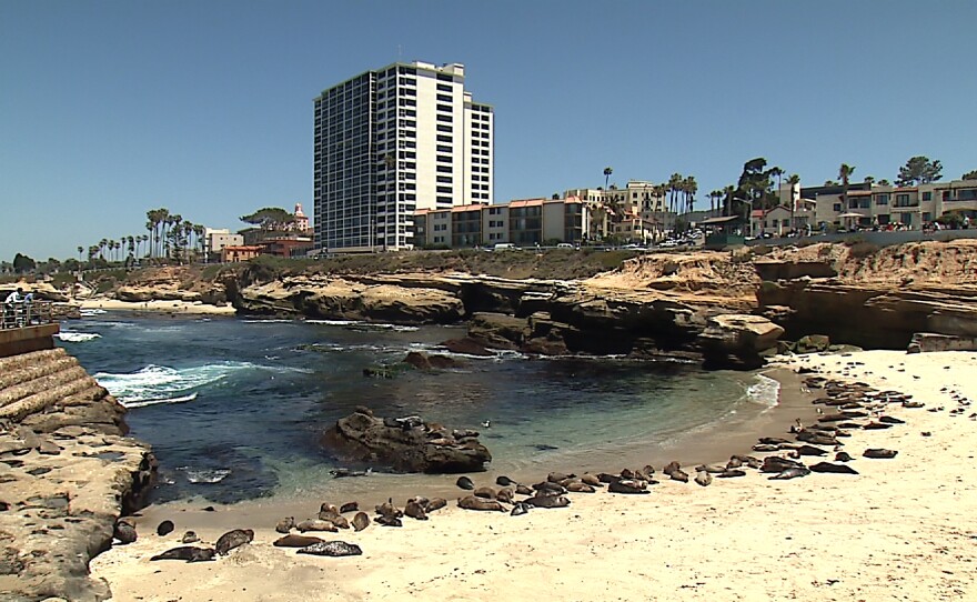 Children's Pool in La Jolla on May 15, 2012.