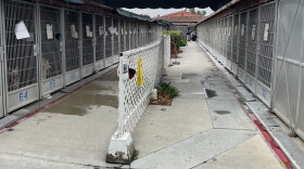 Dog kennels at the San Diego County animal shelter in Bonita with water runoff after a worker cleaned them with a hose on June 3, 2025.