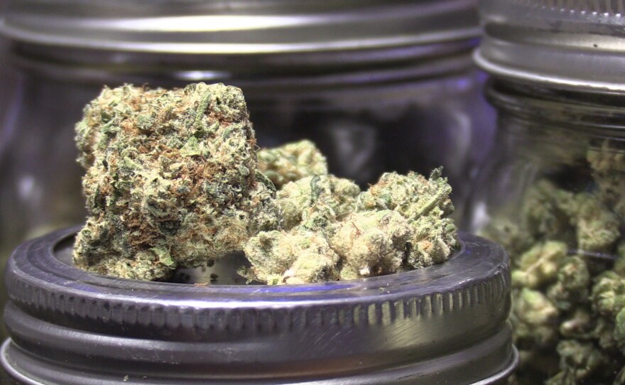 A cannabis bud, May 28, 2021.