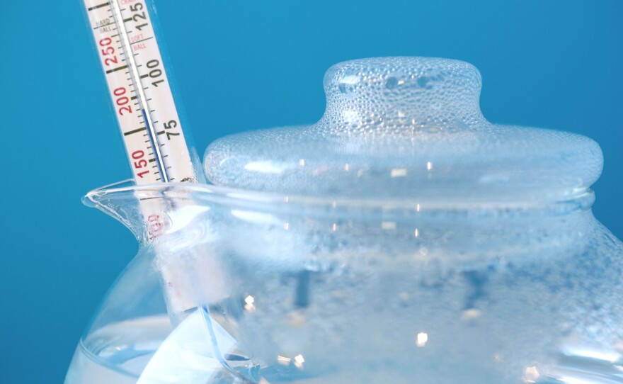 tea-temperature-2_wide-9a26646dfd63fa7f55156b2fc7cfcafce2e8a23d.jpg