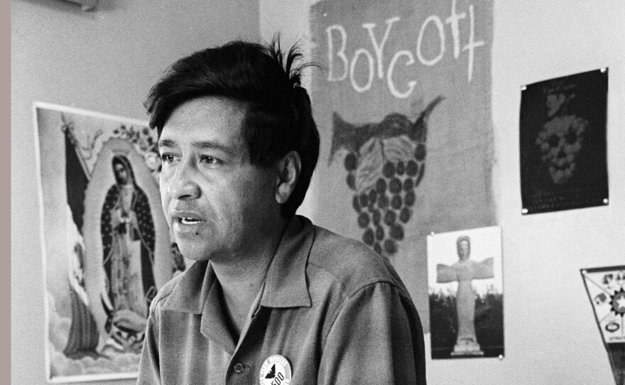 Cesar Chavez, a farm worker, labor organizer and leader of the California grape strike, is seen in a California works office in 1965.