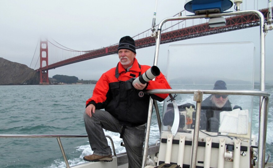 Bill Keener (left) and Jonathan Stern search for porpoises under the Golden Gate Bridge. Water quality has dramatically improved since the 1970s, which may be bringing the porpoises back.