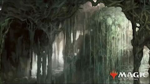 Magic: The Gathering - Friday Night Magic Commander Night