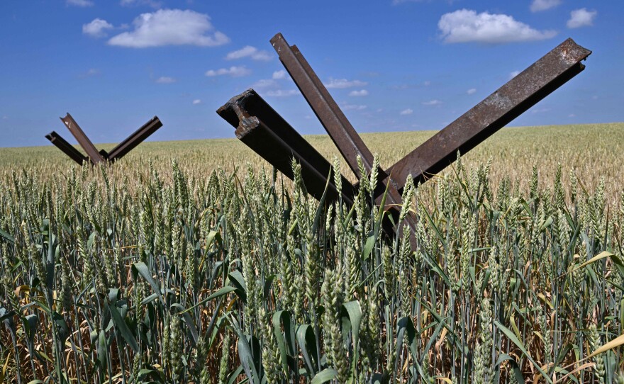 Anti-tank obstacles on a wheat field at a farm in southern Ukraine's Mykolaiv region. The country's grain exports were curtailed this week when Russia pulled out of a deal that allowed grain-laden ships to sail out of Ukrainian ports.