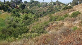 San Diego canyons like this one were targeted for preservation by groups like San Diego Canyonlands. 