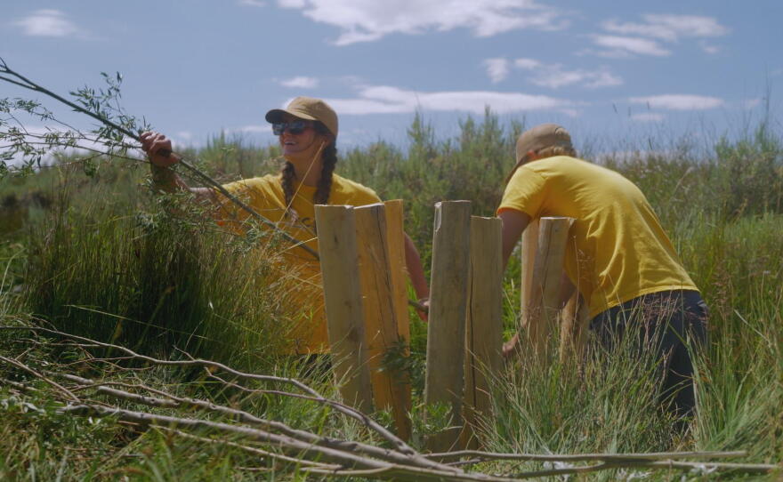 Volunteers build a beaver dam analog along Muddy Creek near Rawlins, WY.