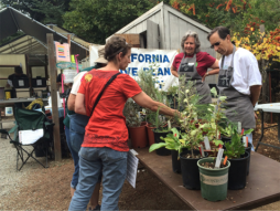 California Native Plant Society's Fall Native Plant Sale