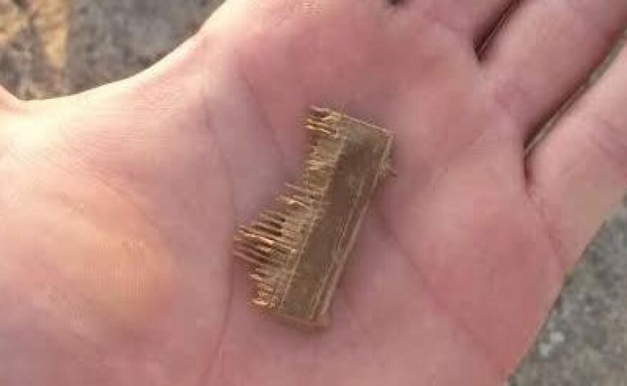 This 2000-year-old lice comb was captured along with six men suspected of illegal excavations of ancient archaeological sites in the Judean Desert near the Dead Sea.