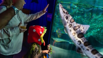 Halloween Aglow Returns!
