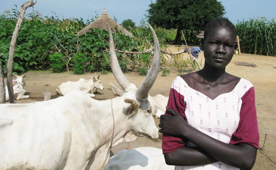 Amer is a 16-year-old Dinka girl in South Sudan's Jonglei state. Her grandmother is asking 80 cows as her dowry. Escalating dowries are one reason for the spike in violent cattle raids.