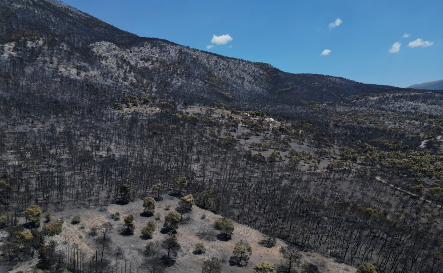 An aerial view shows burned forest after a wildfire near Porto Germeno, northwest of Athens, Greece, Tuesday, Aug. 4, 2026.