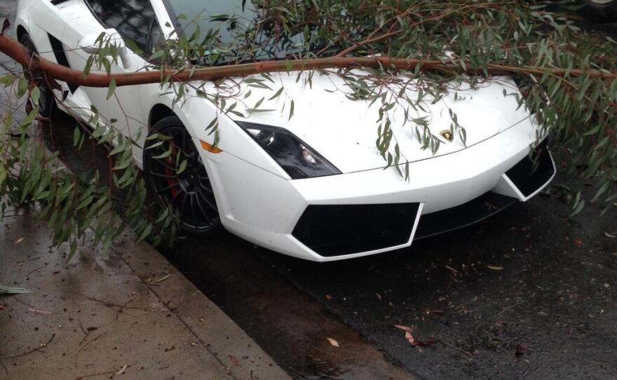 A tree branch lays on top of a Lamborghini on Engineer Road in Kearny Mesa after a winter rainstorm swept through San Diego, Feb. 28, 2014.