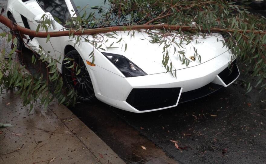 A tree branch lays on top of a Lamborghini on Engineer Road in Kearny Mesa after a winter rainstorm swept through San Diego, Feb. 28, 2014. 