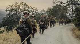 Firefighters in "Wildland."