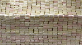 Nearly 1,500 pounds of alleged cocaine was seized by U.S. Customs and Border Protection officers at the U.S.-Mexico border, according to officials. The estimated street value of the narcotics is $11.8 million.