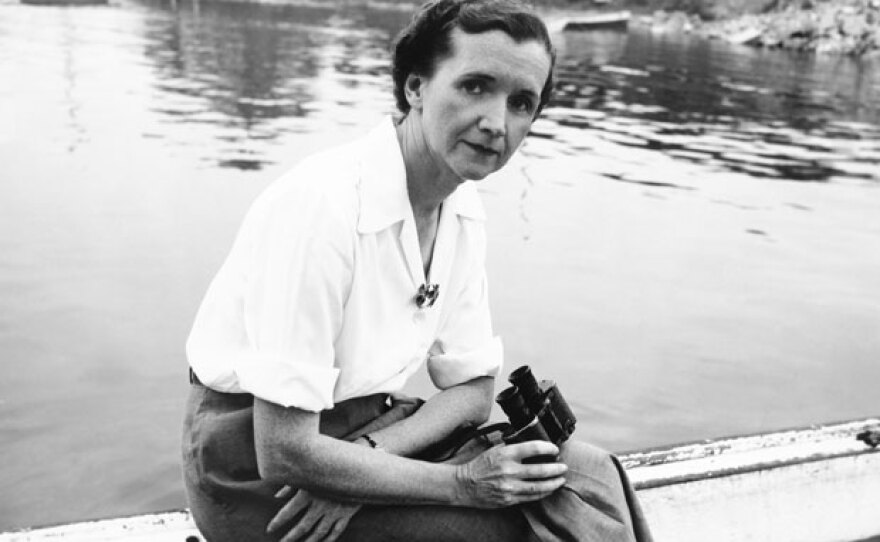 Rachel Carson at Woods Hole, Mass., 1950.