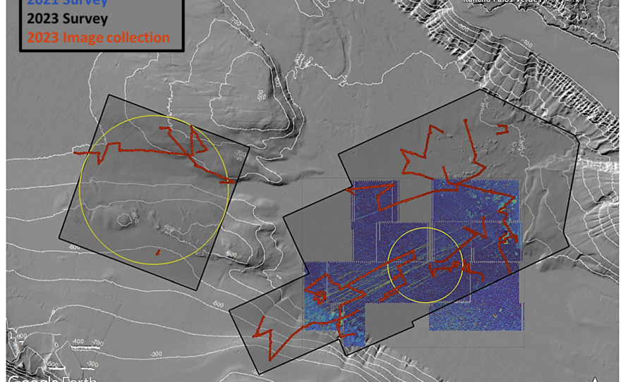 Where researchers focused their attention