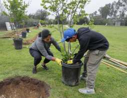 Arbor Day Tree Planting Volunteer Event