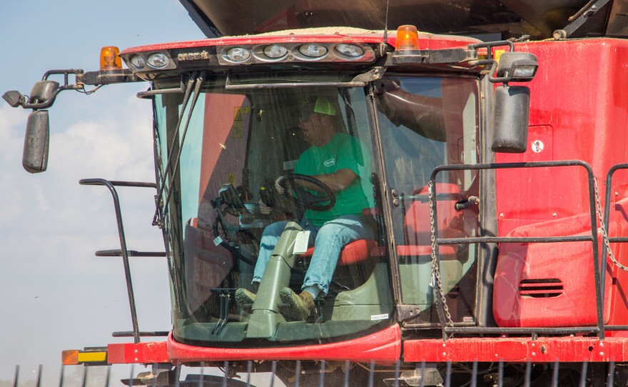 Brent Henderson harvests soybeans on his farm near Weona, Ark., in 2017. That crop showed symptoms of dicamba exposure. Henderson switched to Xtend soybeans the following year, he says, as "insurance" against future damage.