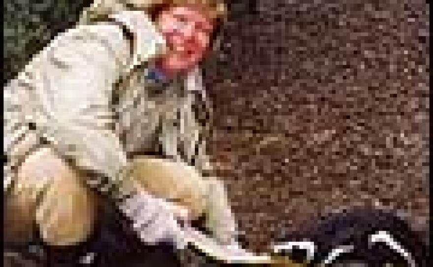 University of Washington biologist and penguin expert Dee Boersma.