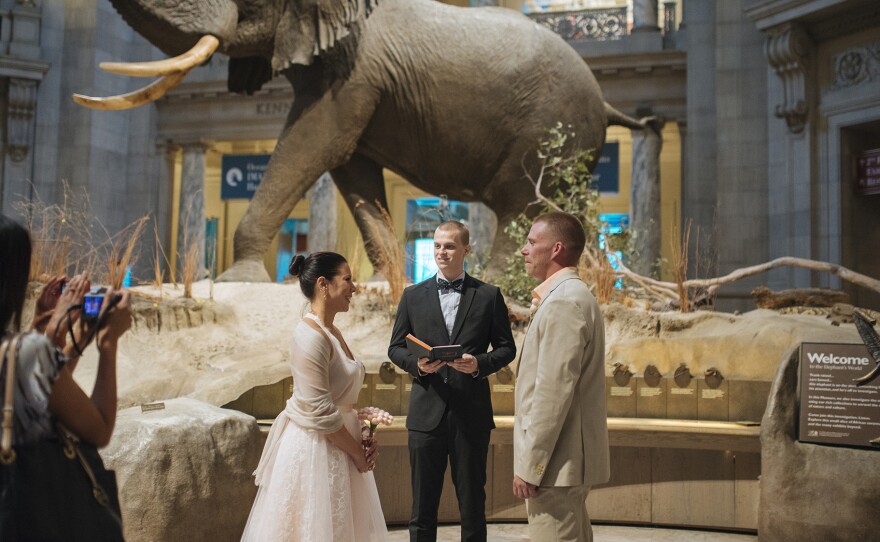 Jennifer Miller and Michael Bennett were married at the Smithsonian Natural History museum in Washington, D.C., using PopWed Co.