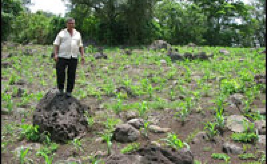 Santiago Gonzales stands on a rocky hillside near Lake Yojoa, where he grows corn and beans.